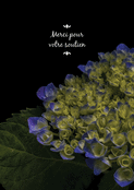 Gratitude florale pour votre soutien